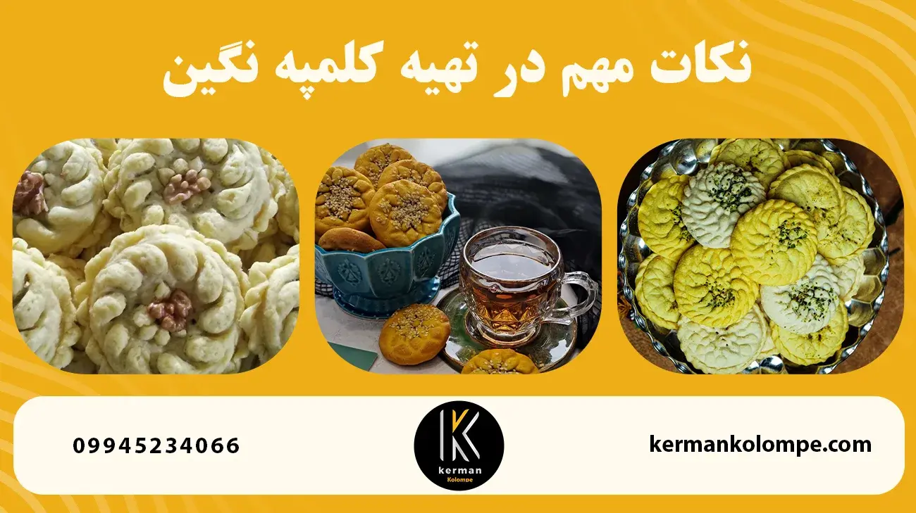 نکات مهم در تهیه کلمپه نگین