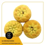 کلمپه خرمایی صنوبر